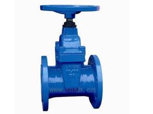 泊头弹性座封闸阀 宝丰泵阀制造厂的研发实力与高清产品图鉴